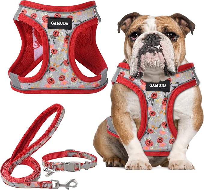 GAMUDA Small Dog Harness Collar and Leash Set, Step in No Chock No Pull Soft by GAMUDACollarsCollection
