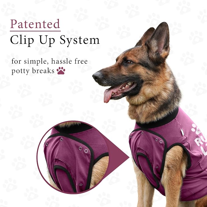 BellyGuard Dog Surgery Recovery Suit, Dog Onesie - Image 5