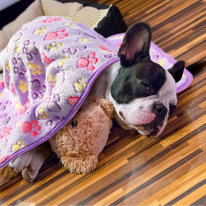 Tatuo 4 Pcs Dog Blanket for Pet Cat Blankets Indoor Puppy Teething Stuff Toys - Image 5