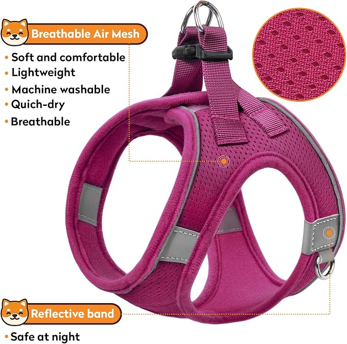 Dog Harness with Leash Set, No-Pull Step-in Reflective Pet Harness with 1 Leash - Image 4