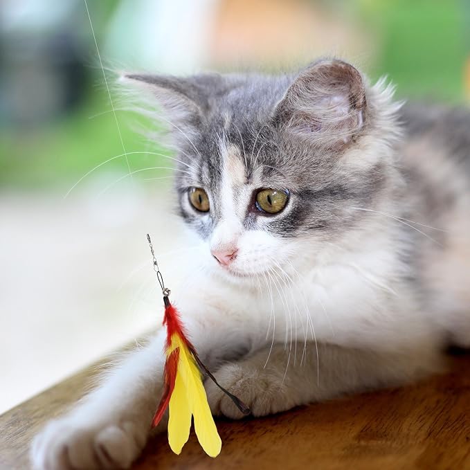Pawaboo Interactive Cat Toys for Indoor Cats, Cat Wand Toys, Cat Fishing Pole - Image 7