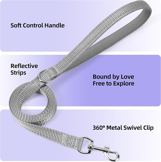 Solmoony Sparkly XS Dog Harness and Leash Set, Step in Soft Light Puppy Vest - Image 3