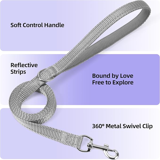 Solmoony Sparkly XXXS Dog Harness and Leash Set, Step in Soft Light Puppy Vest - Image 3