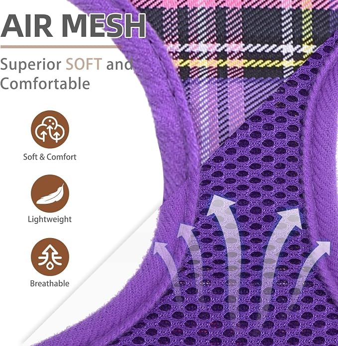 PUPTECK Soft Mesh Dog Harness and Leash Set Pet Puppy Cat Comfort Padded Vest - Image 2