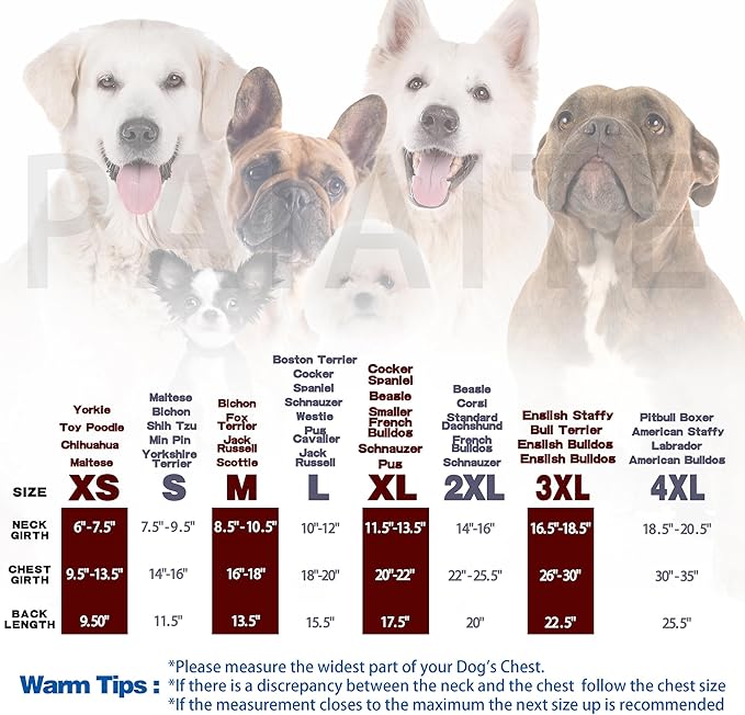 Personality Canine Attire: Soft, Lightweight Cotton Dog Clothes - Image 3