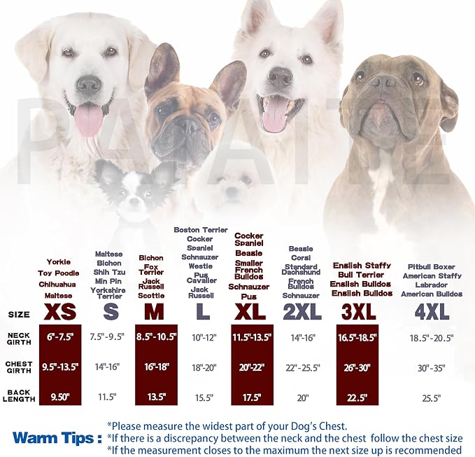 Personality Canine Attire: Soft, Lightweight Cotton Dog Clothes - Image 3