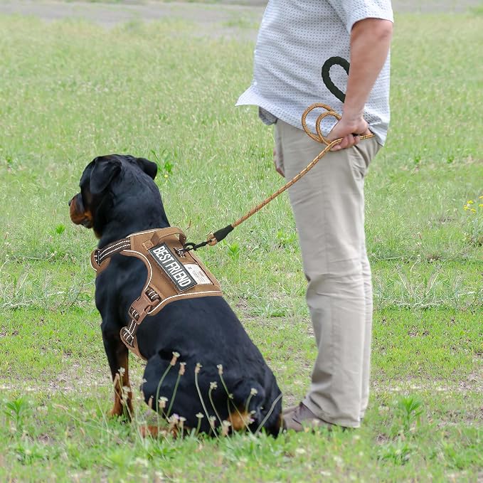 Heavy Duty Tactical Dog Harness - Image 3