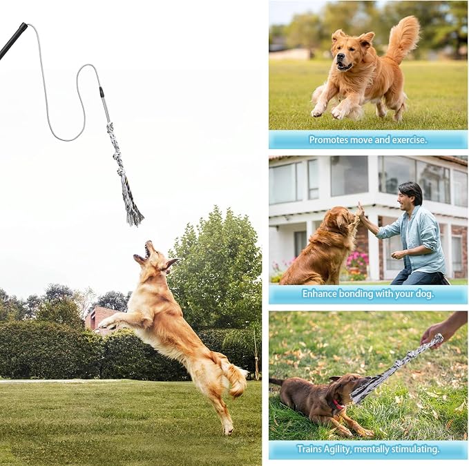 Flirt Pole for Small Medium Dogs, Interactive Chase and Tug of War Outdoor Dog - Image 3