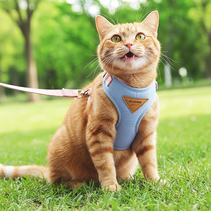 Escape-Proof Cat Harness and Leash Set - Image 8