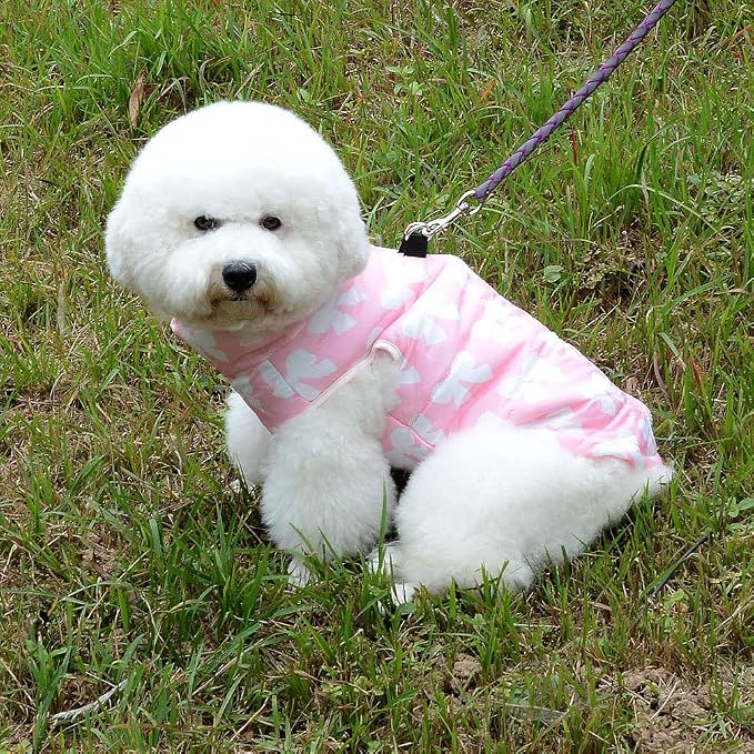 SMALLLEE_Lucky_Store New Various Pet Cat Dog Soft Padded Vest Harness Small Dog - Image 5