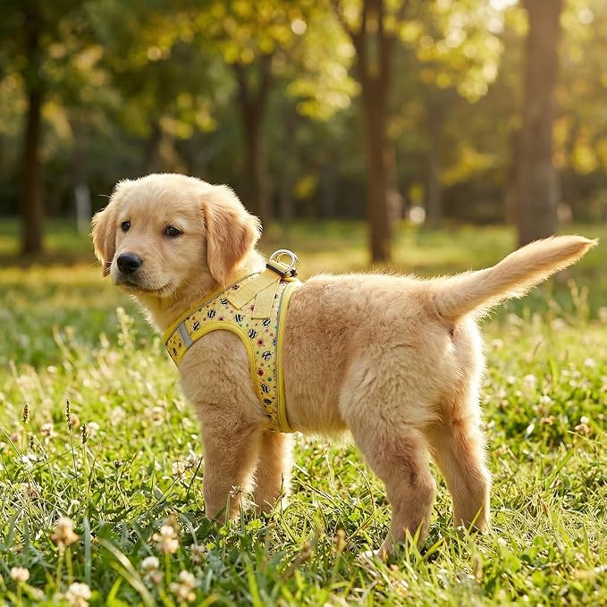 Step in Dog Harness and Leash Set, Reflective Adjustable No Pull Dog Harness - Image 8