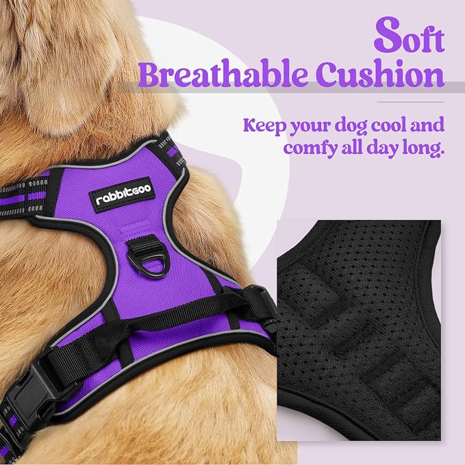 rabbitgoo Dog Harness No Pull - Image 2