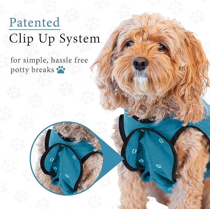 BellyGuard Dog Surgery Recovery Suit, Dog Onesie - Image 5