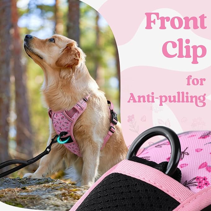 rabbitgoo Dog Harness Small Sized, No Pull Pet Harness - Image 7