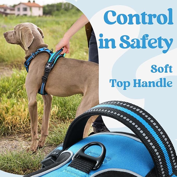 rabbitgoo Dog Harness for Large, No Pull Pet Harness - Image 5