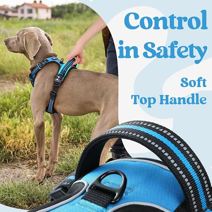 rabbitgoo Dog Harness Medium Sized, No Pull Pet Harness - Image 5