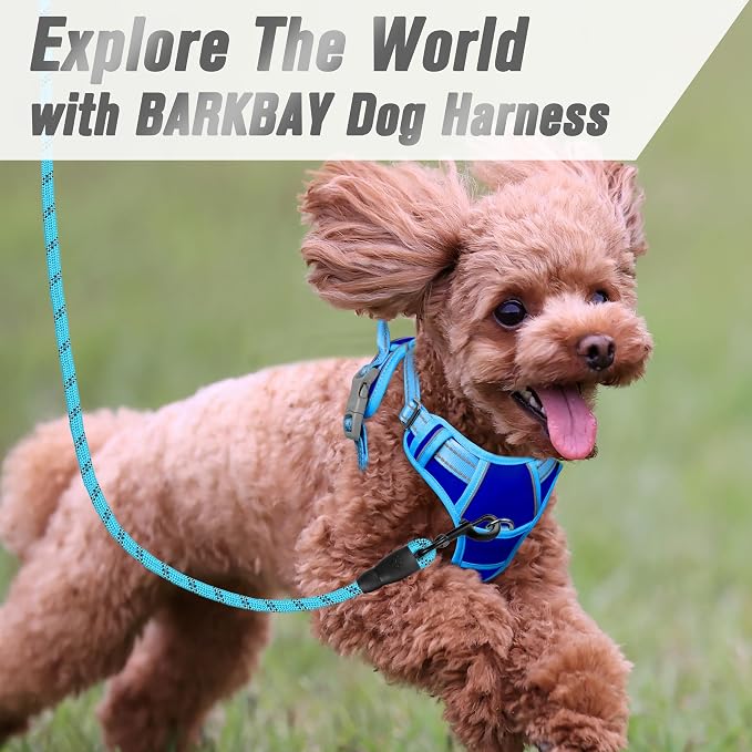 BARKBAY No Pull Dog Harness Front Clip Heavy Duty Reflective Easy Control Handle - Image 8