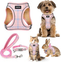 GAMUDA Small Dog Harness Collar and Leash Set, Step in No Chock No Pull Soft by GAMUDACollarsCollection