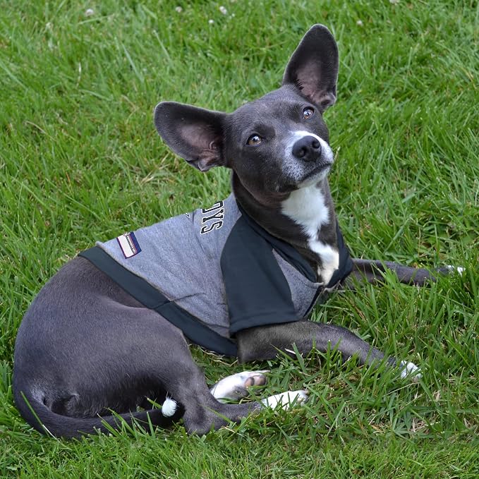 Pets First NFL Dallas Cowboys Hoodie - Image 4