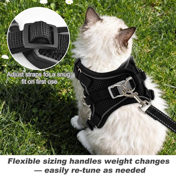 Kitten Cat Harness and Leash Set, Escape Proof Soft 4-Adjustable Cat Walking - Image 2