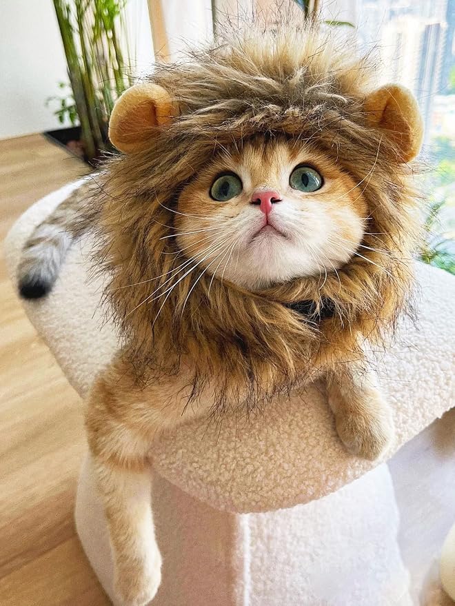 Lion Mane Wig for Cat, Funny Pet Cat & Puppy Costumes for Halloween & Christmas - Image 7