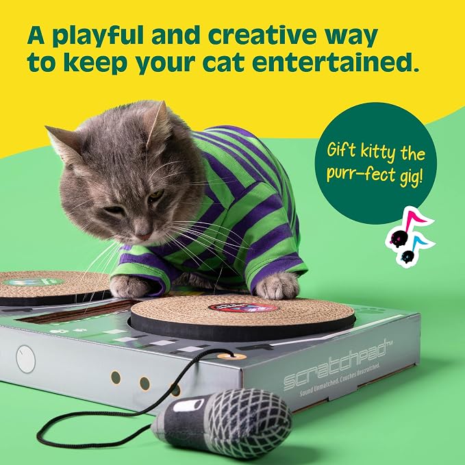 DJ Scratchpad by Relatable, Enrichment Cat Toys And Kitten Toys - Image 3