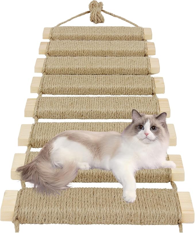 20in Cat Ladder & Bridge, Outdoor Cat Tree by AGRICUE