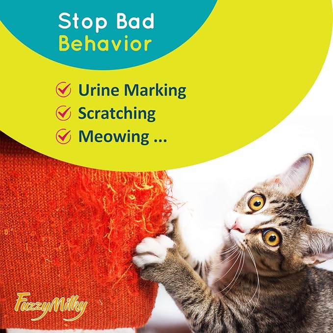 Calming Collar for Cats - Image 5