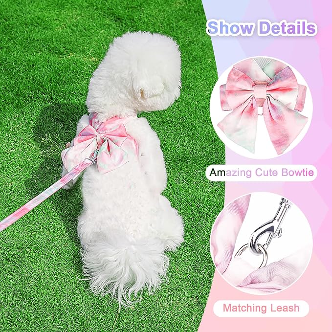 PETCARE Cute Bow Tie Dog Harness and Leash Set Elegant Rainbow Gradient Puppy - Image 5