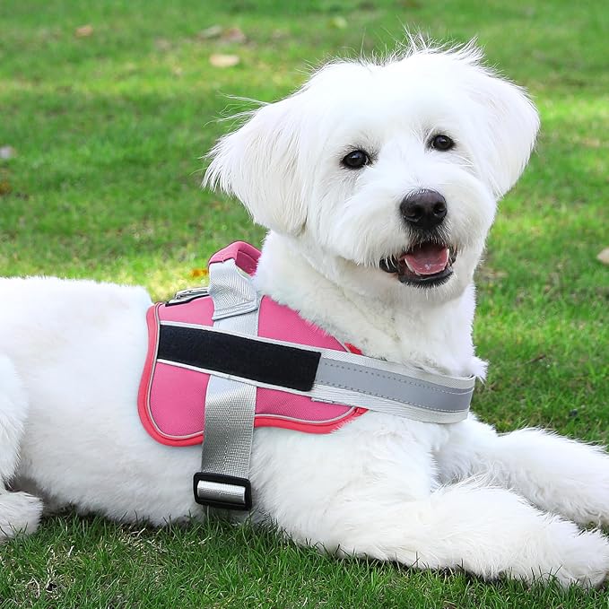 Bolux Dog Harness, No-Pull Reflective Dog Vest, Breathable Adjustable Pet - Image 7