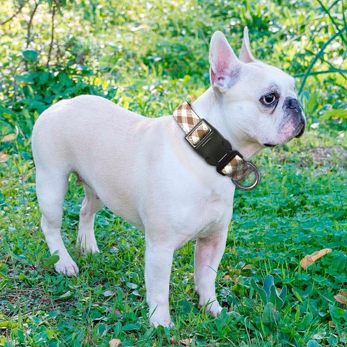 Reflective Dog Collar Padded - Image 5