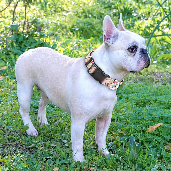 Reflective Dog Collar Padded - Image 4