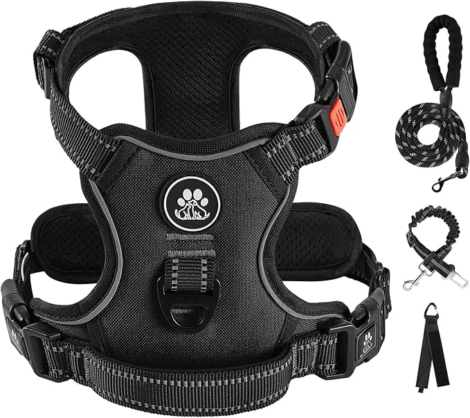 IVY&LANE No Pull Dog Harness for Small Dogs, Dog Vest Harness by IVYLANE