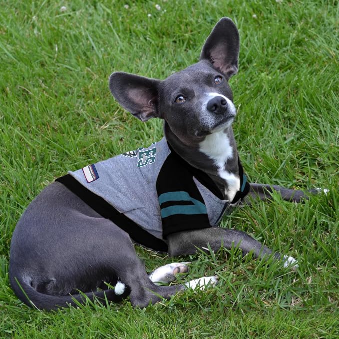 Pets First Philadelphia Eagles Hoodie Tee Shirt - Image 4
