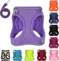 Dog Harness with Leash Set, No-Pull Step-in Reflective Pet Harness with 1 Leash by PWOD
