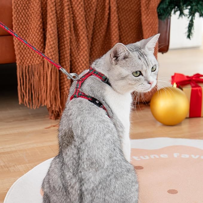 azuza Cat Harness and Leash Set - Image 4