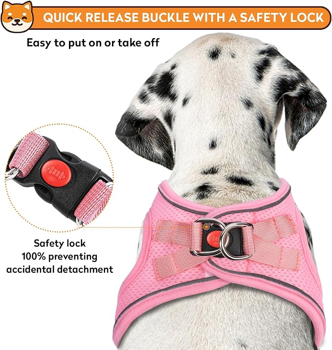 Dog Harness with Leash Set, No-Pull Step-in Reflective Pet Harness with 1 Leash - Image 3