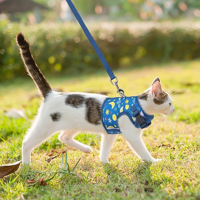 BINGPET Cat Harness with Leash Escape Proof - Image 5