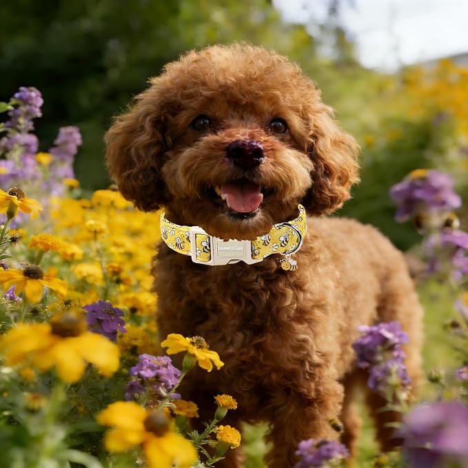 Lionet Paws Spring Dog Collar- Cute Bees Yellow Dogs Collar - Image 2