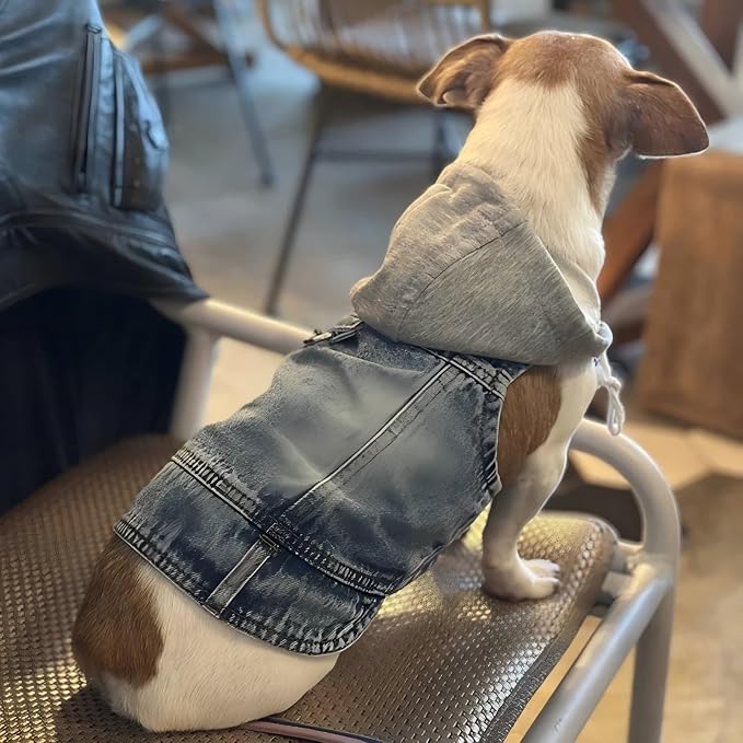 Puppy Harness Jacket for Small Dogs - Image 6