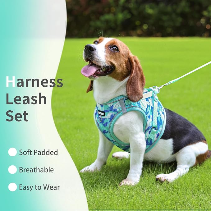Step in Dog Harness with Leash Set, Adjustable Soft Padded and Breathable Mesh - Image 2