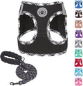 BEAUTYZOO Step in Dog Harness and Leash Set, Reflective Dog Harness No Pull No by BEAUTYZOO