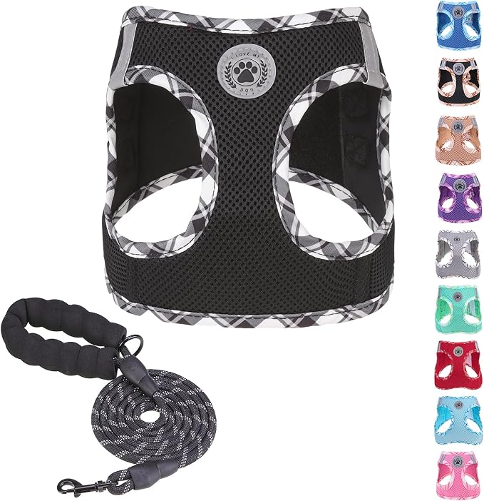 BEAUTYZOO Step in Dog Harness and Leash Set, Reflective Dog Harness No Pull No by BEAUTYZOO