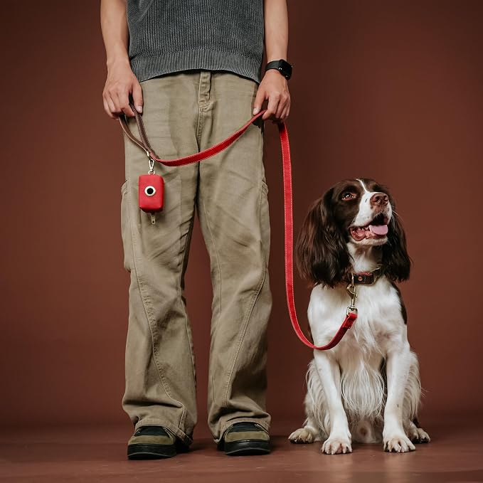 Didog Soft PU Leather Dog Collar - Image 4
