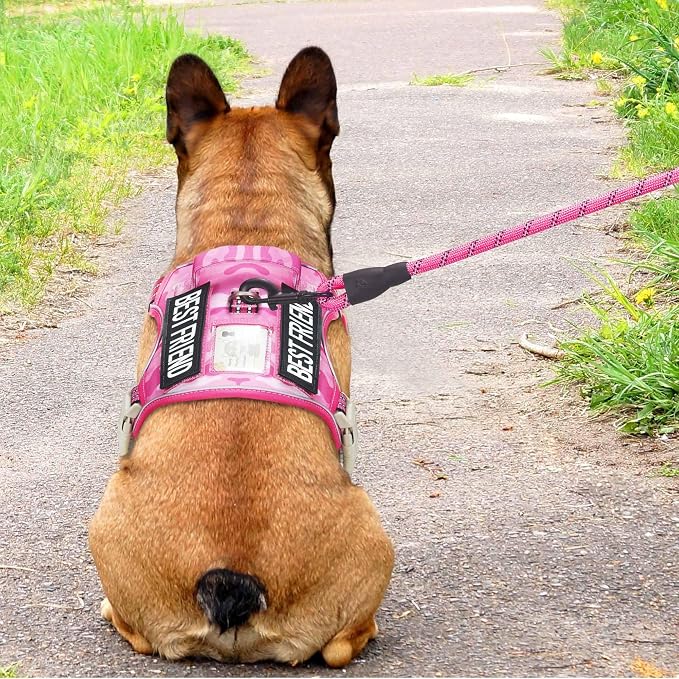 Heavy Duty Tactical Dog Harness - Image 3
