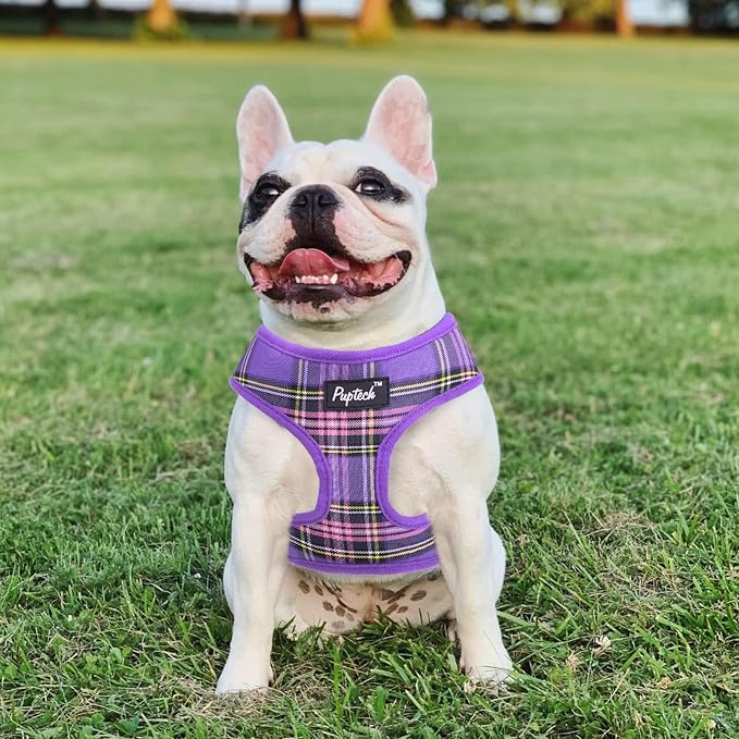 PUPTECK Soft Mesh Dog Harness and Leash Set Pet Puppy Cat Comfort Padded Vest - Image 7