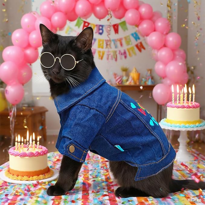 Dog Jean Jacket with D-Ring Blue Denim Coat Dogs Outfits - Image 5