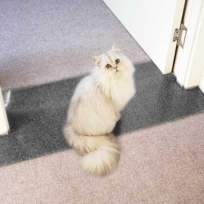 Carpet Protector for Pets Cat Carpet Protector for Doorway, Anti Scratch Under by Oroonoko