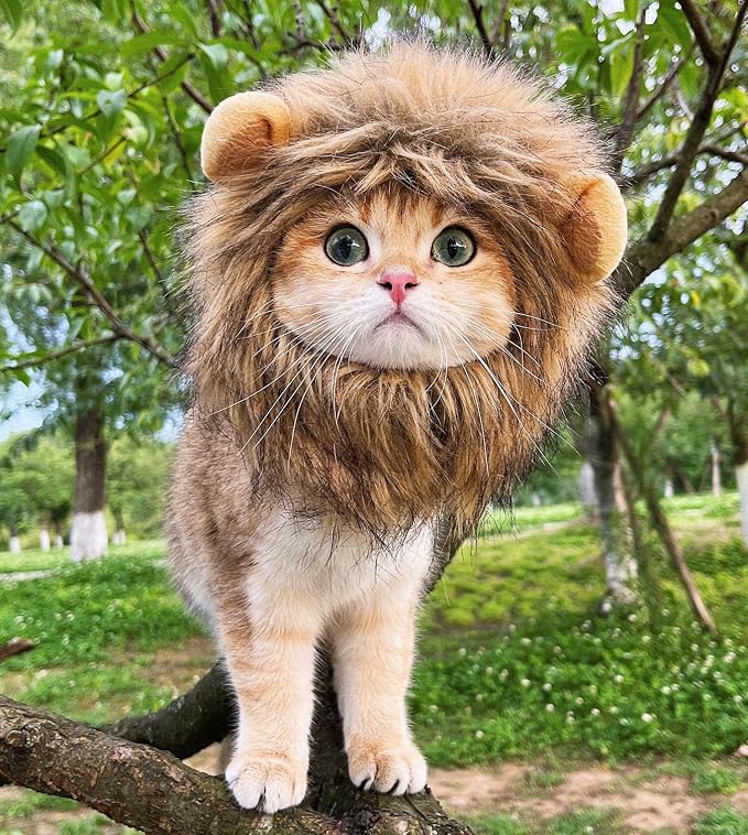 Lion Mane Wig for Cat, Cat Costume, Puppy Costume, Funny Pet Costumes for - Image 3