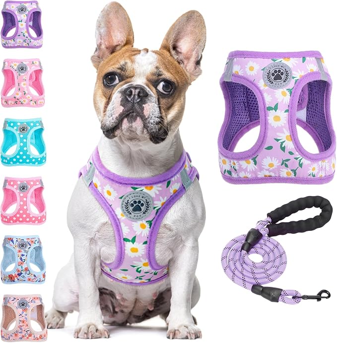 BEAUTYZOO Step in Dog Harness and Leash Set, Floral Pattern Reflective Dog by BEAUTYZOO